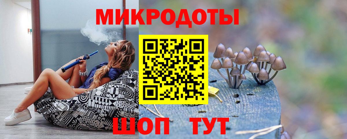 Псилоцибиновые грибы Cubensis  купить закладку  Мичуринск  Вход с VPN 